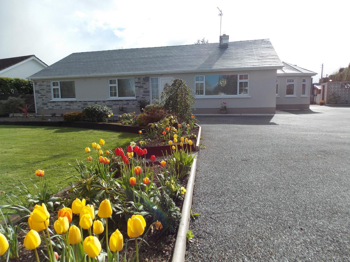 Barrow View Accommodation Mountmellick Eksteriør billede